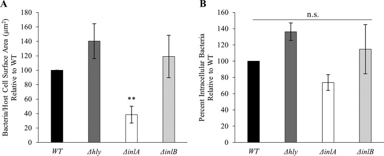 FIG 6