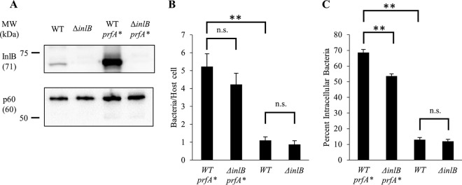 FIG 5