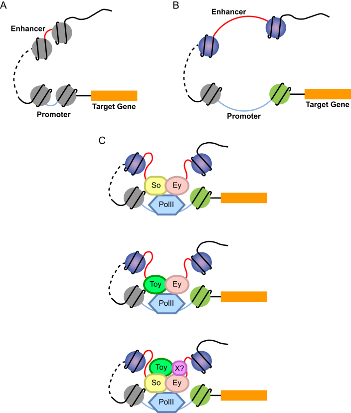 Figure 7.