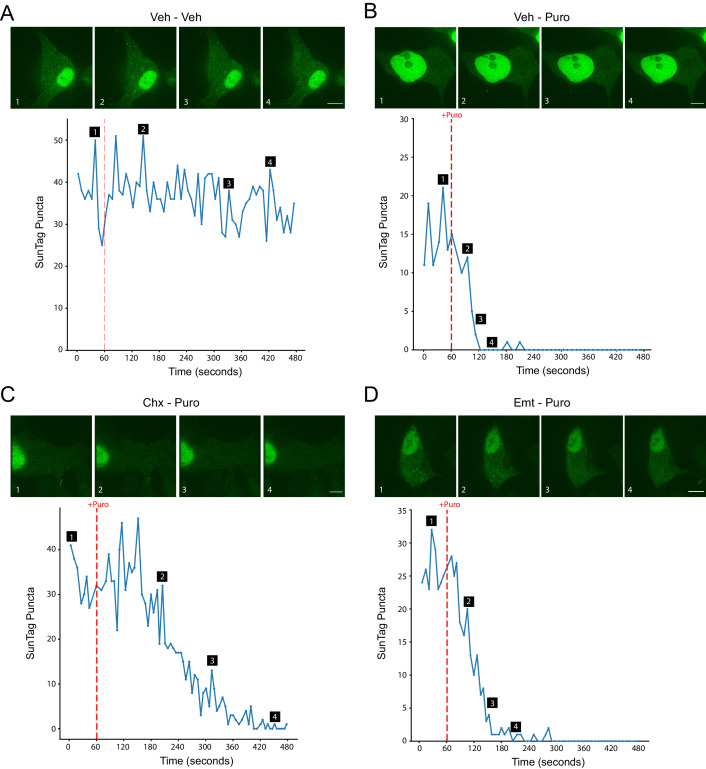 Figure 3—figure supplement 2.