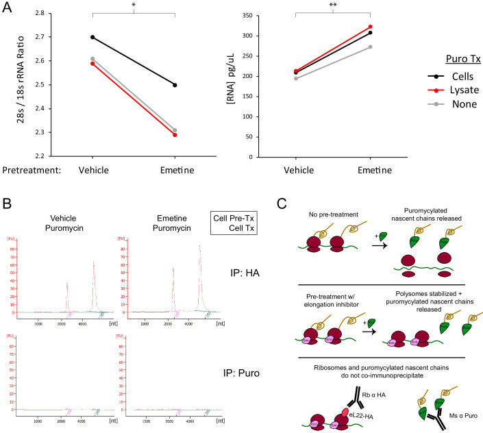 Figure 2—figure supplement 1.