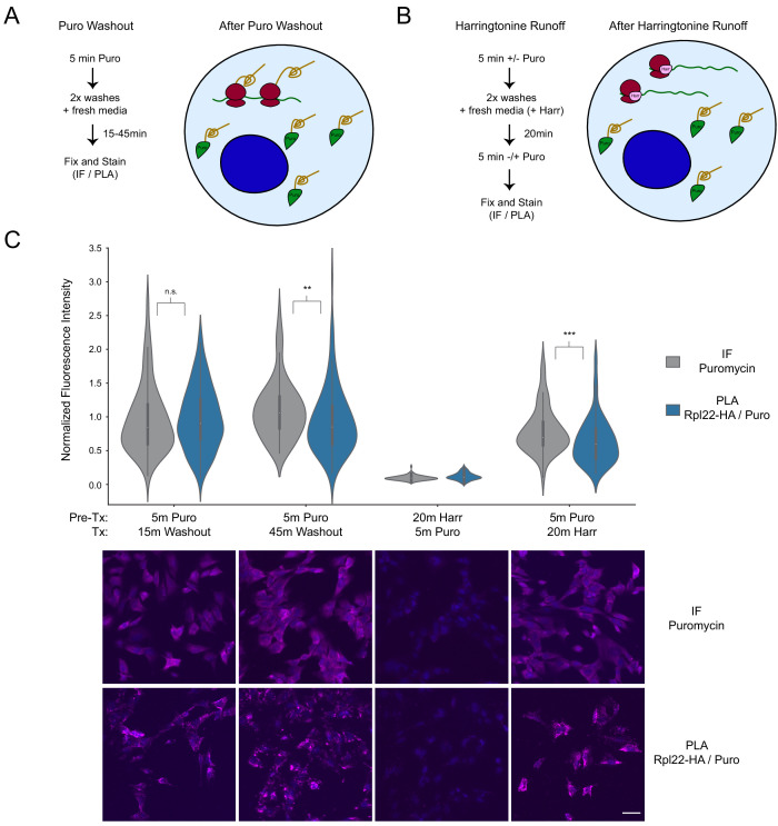 Figure 1—figure supplement 2.