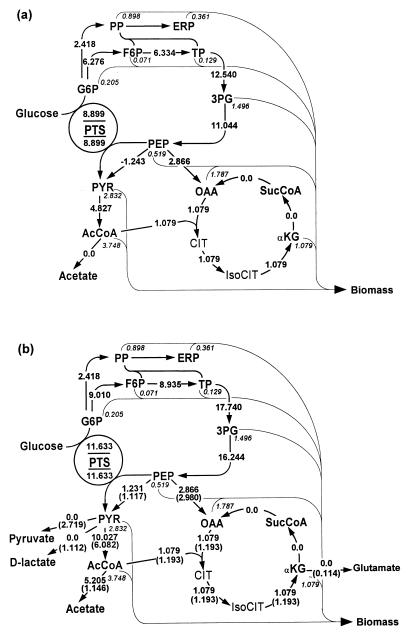 FIG. 6