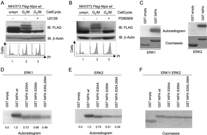 FIGURE 1.