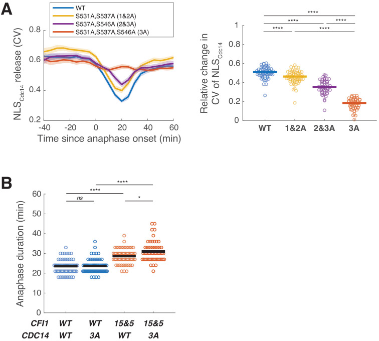 Figure 6—figure supplement 4.