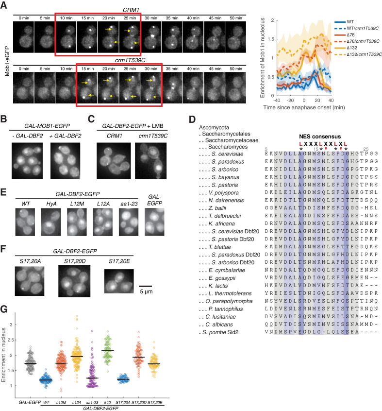 Figure 3—figure supplement 2.