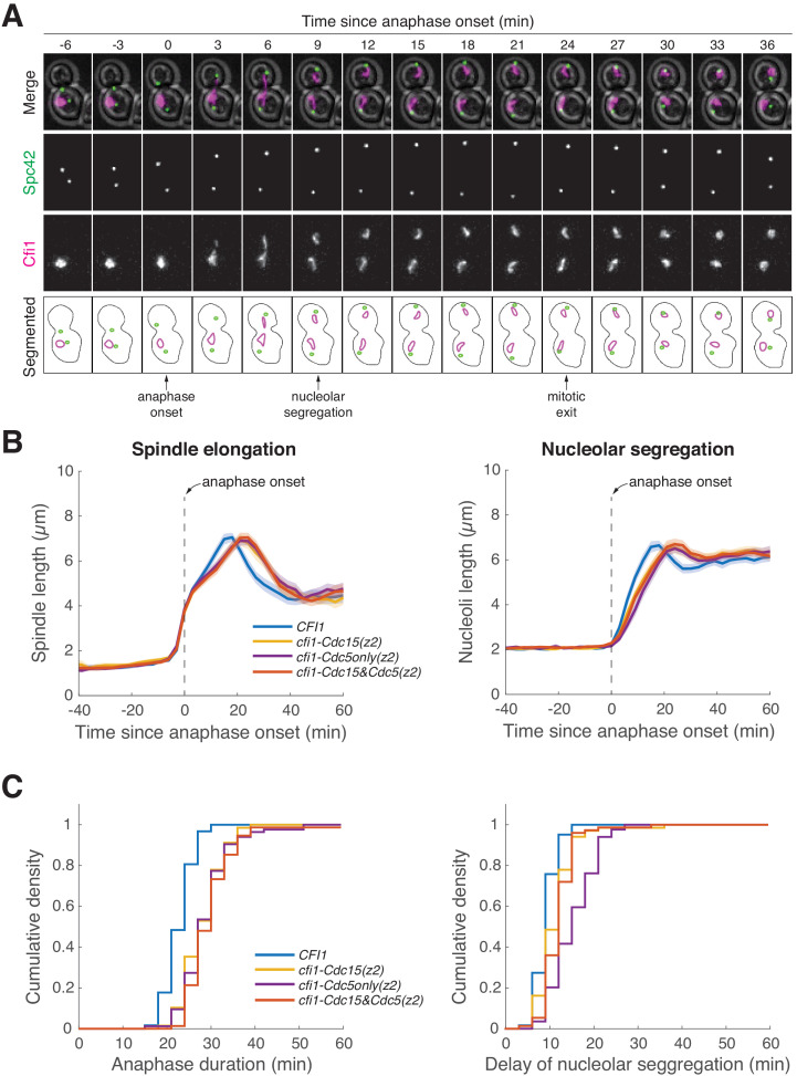 Figure 6—figure supplement 3.