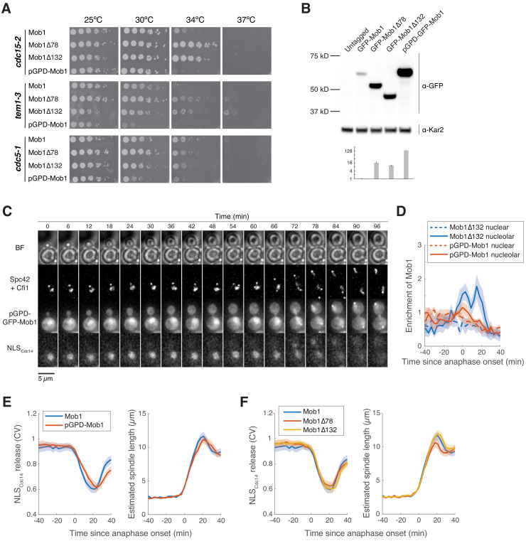 Figure 1—figure supplement 1.