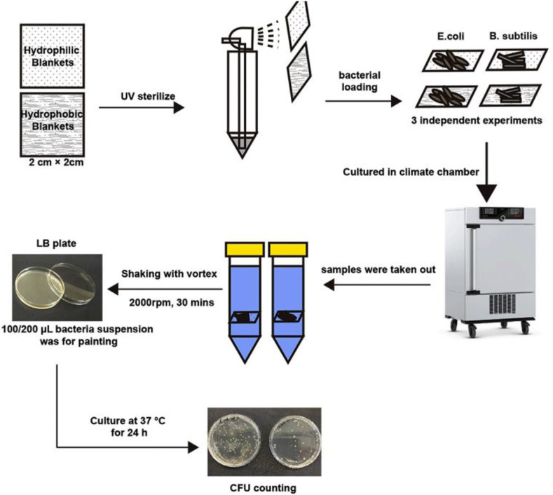 Fig. 24