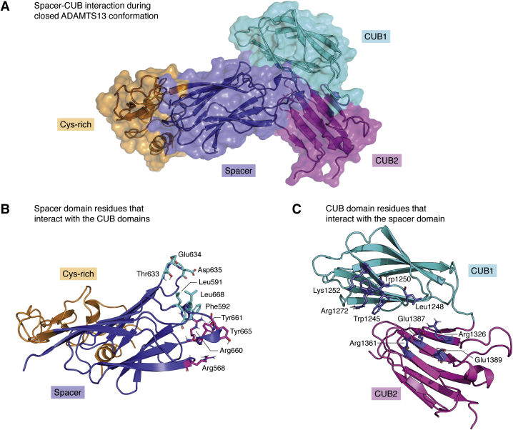 Figure 4