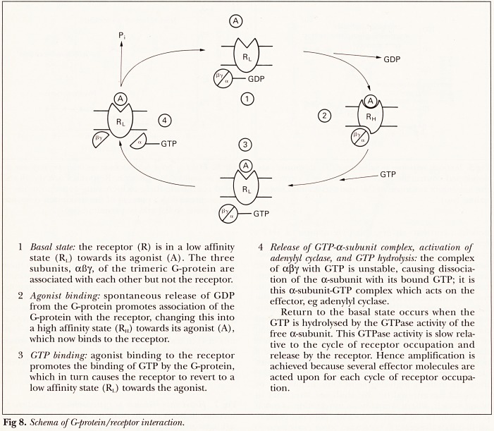 Fig 8.