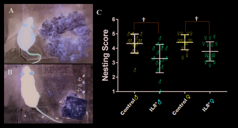 Figure 4.