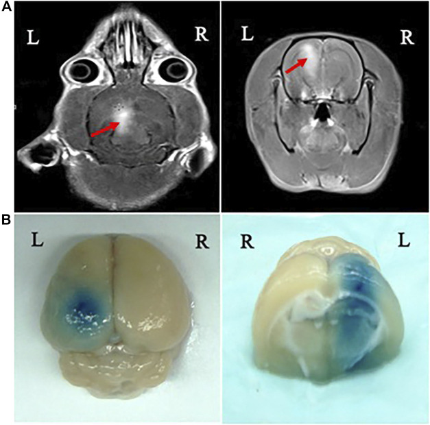 FIGURE 3