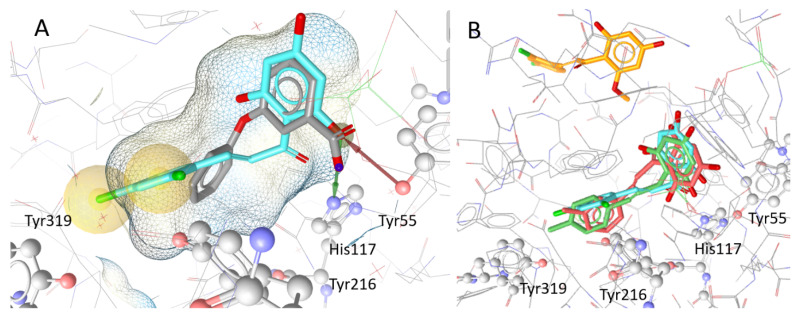 Figure 6