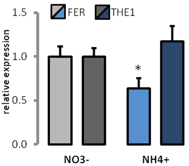 FIGURE 9