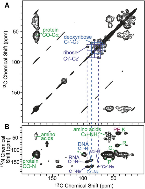 FIGURE 3