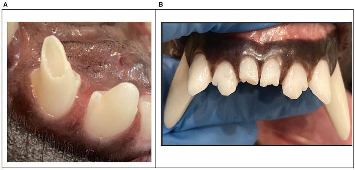 Figure 9