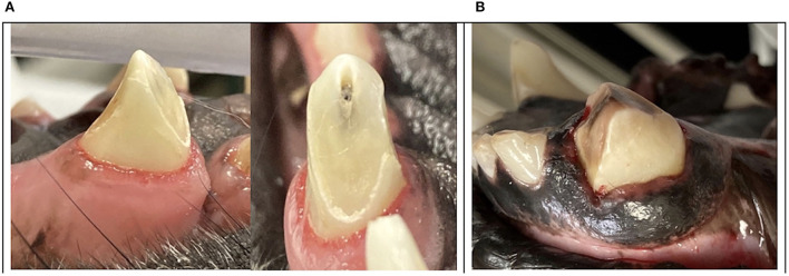 Figure 12