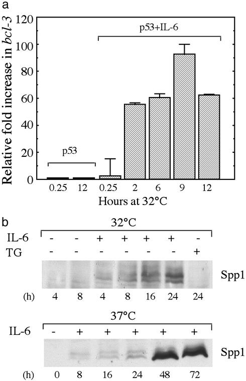 Fig. 6.