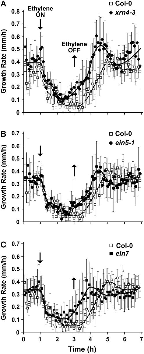 Figure 3.