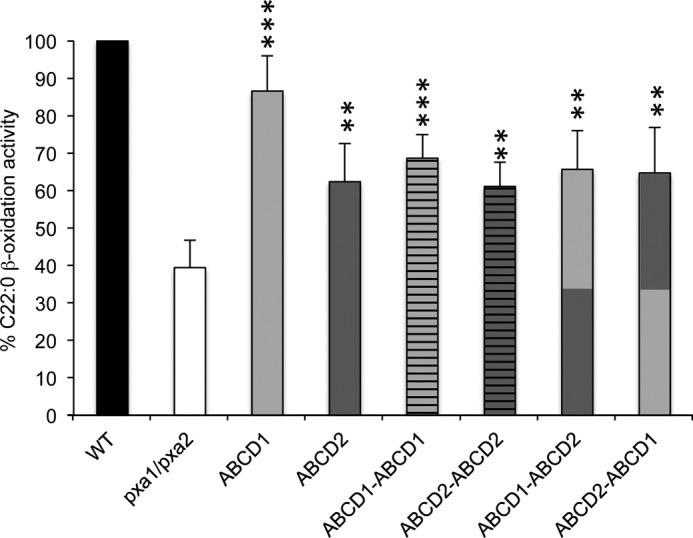 FIGURE 4.