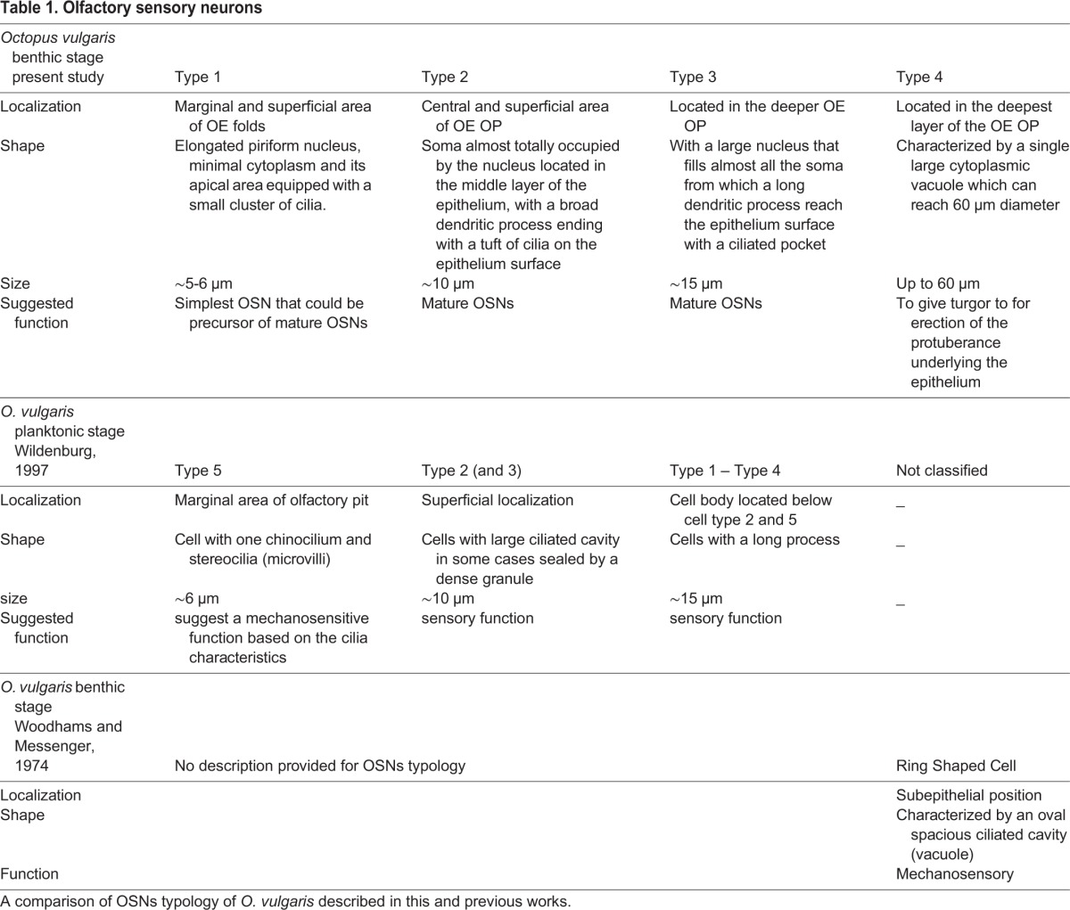 graphic file with name biolopen-5-017764-i1.jpg