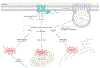 Fig. 4 |
