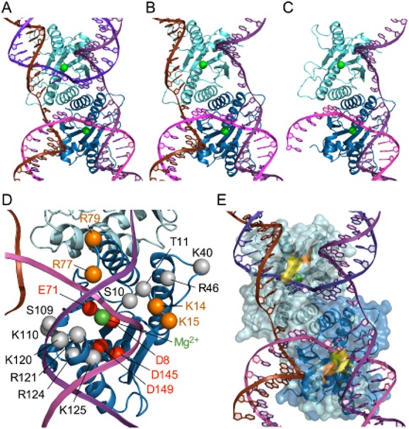 Fig. 3