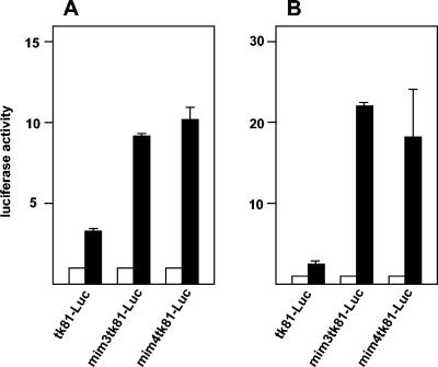 FIG. 4.