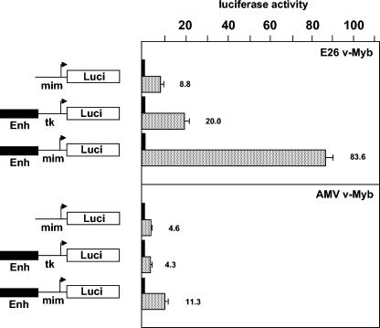 FIG. 9.