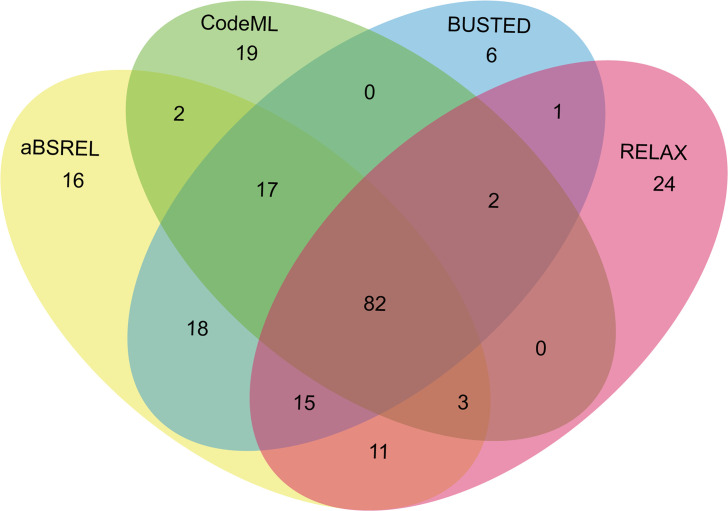 Figure 5—figure supplement 1.