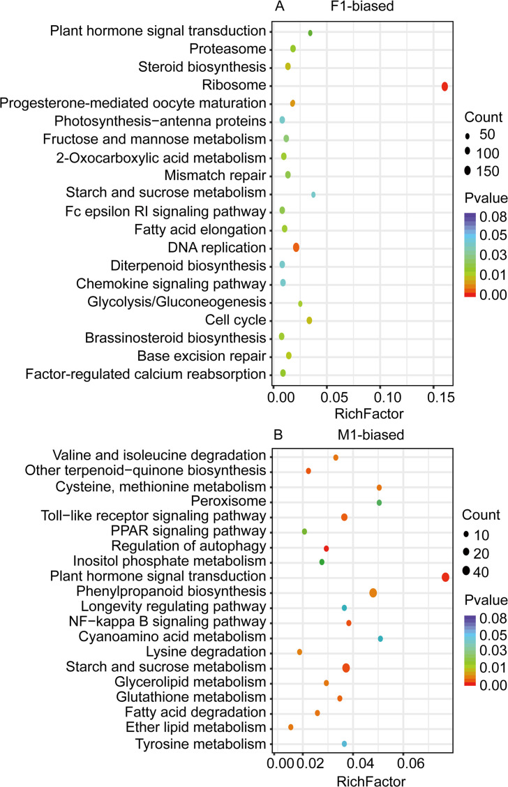 Figure 5—figure supplement 3.