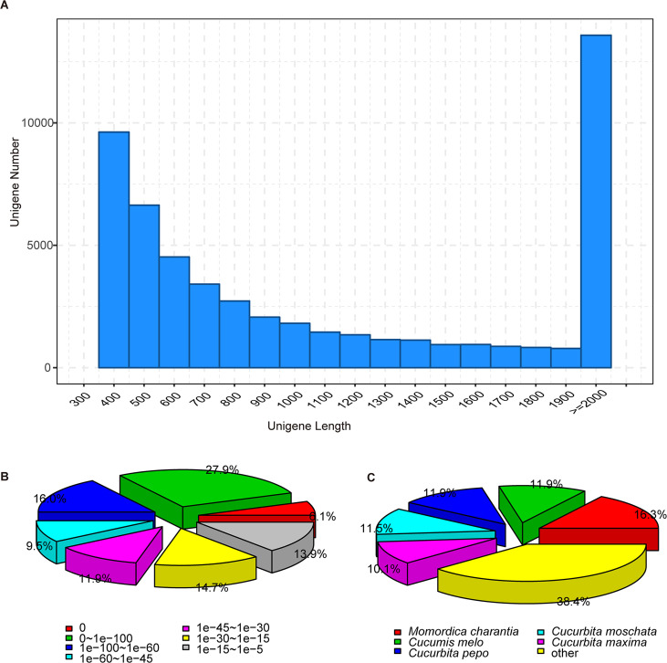 Figure 2—figure supplement 1.