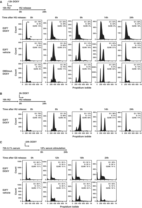 Figure 4.