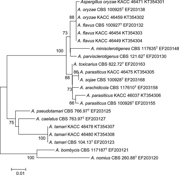 Fig. 2