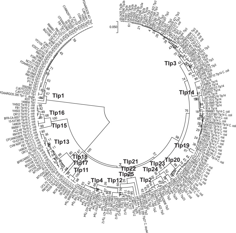 Fig 4