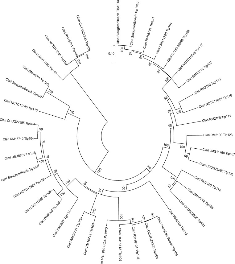 Fig 2