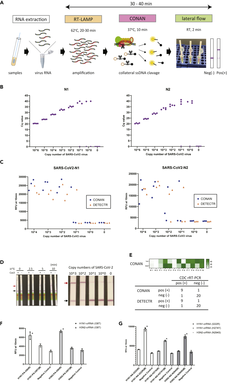 Figure 2