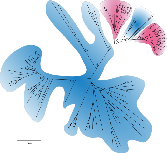 Extended Data Fig. 1