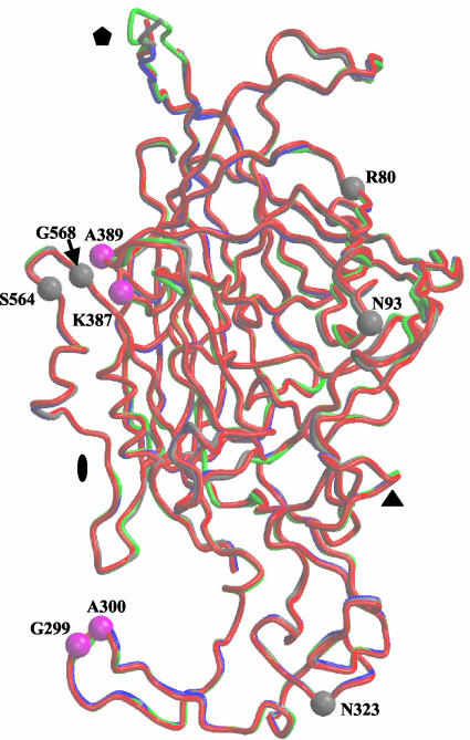 FIG. 2.