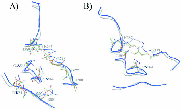 FIG. 6.