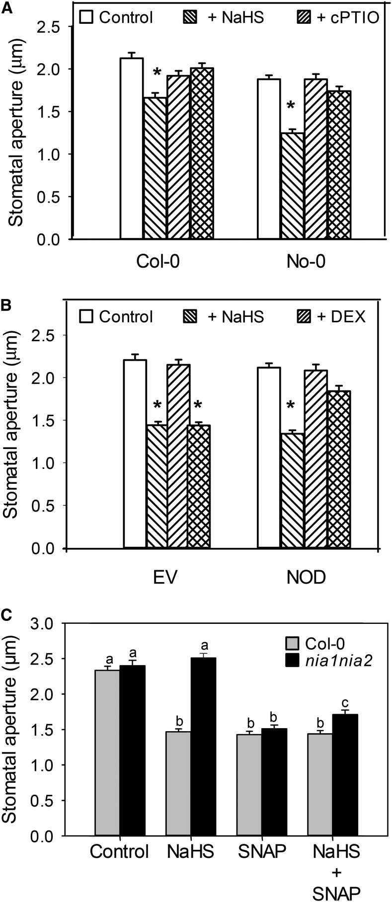 Figure 5.