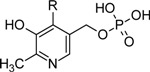 graphic file with name molecules-14-00329-i002.jpg