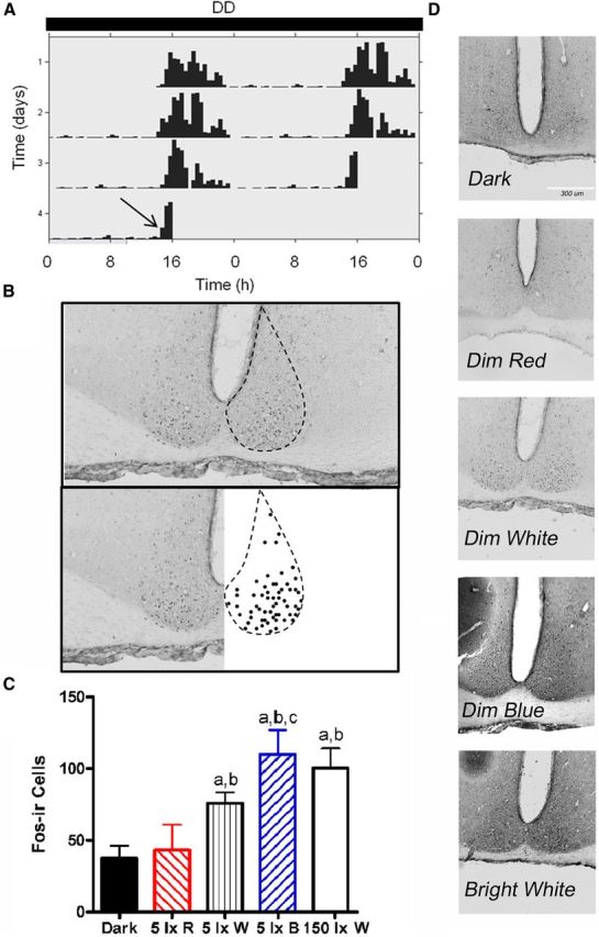 Figure 4.