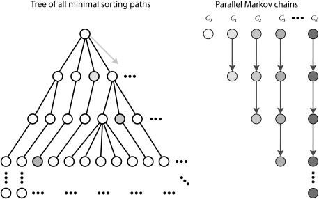 FIG. 2.—