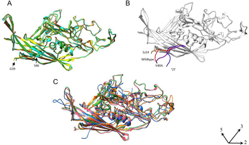 Fig 6