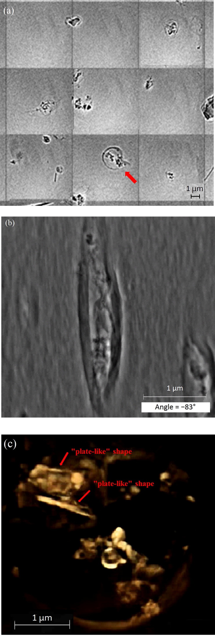 Fig. 5