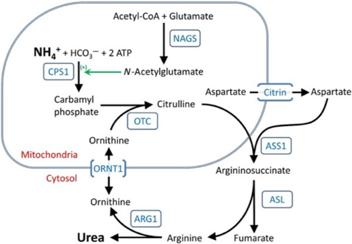 FIGURE 1