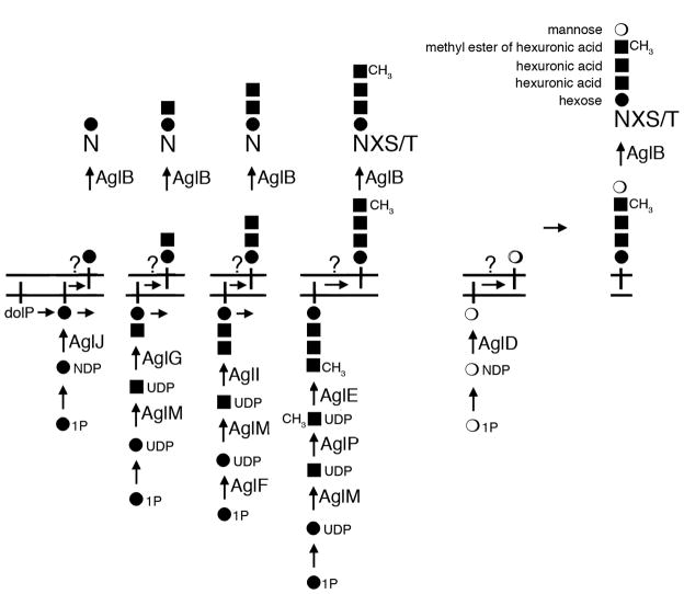 Fig 5