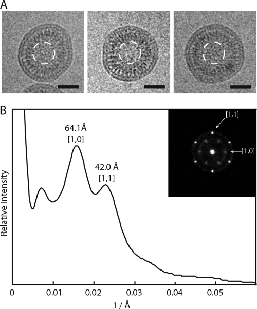 Fig 4